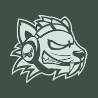 Baruch Esports Association